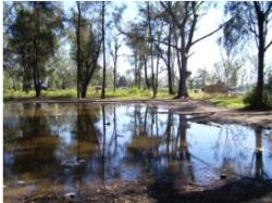 TOSQUERAS, EXTRACCIÓN DE RIQUEZA, LAGUNAS Y BASURA
